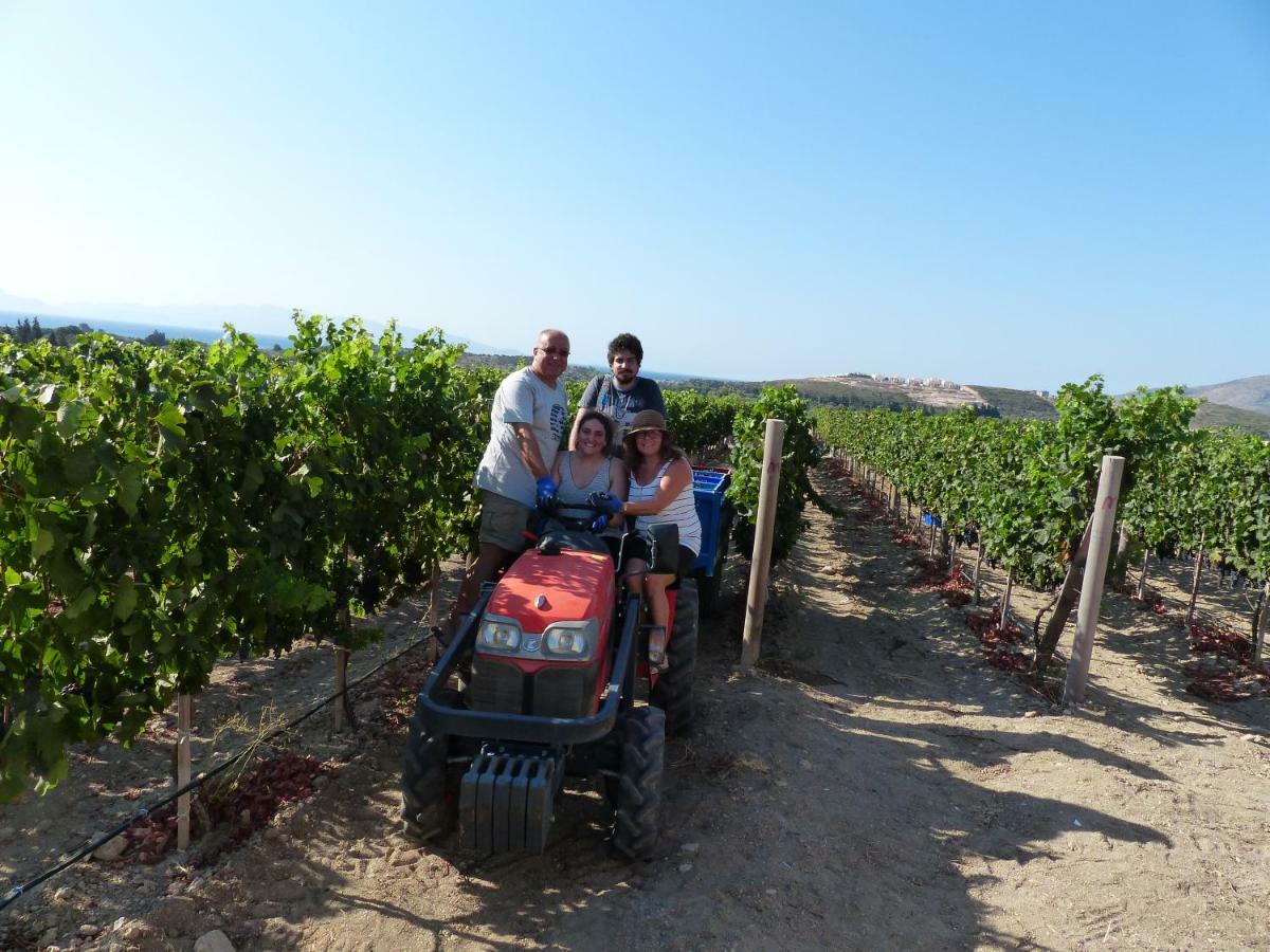 Datca Vineyard Guesthouse Eksteriør billede